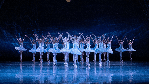 World Ballet Company - Swan Lake