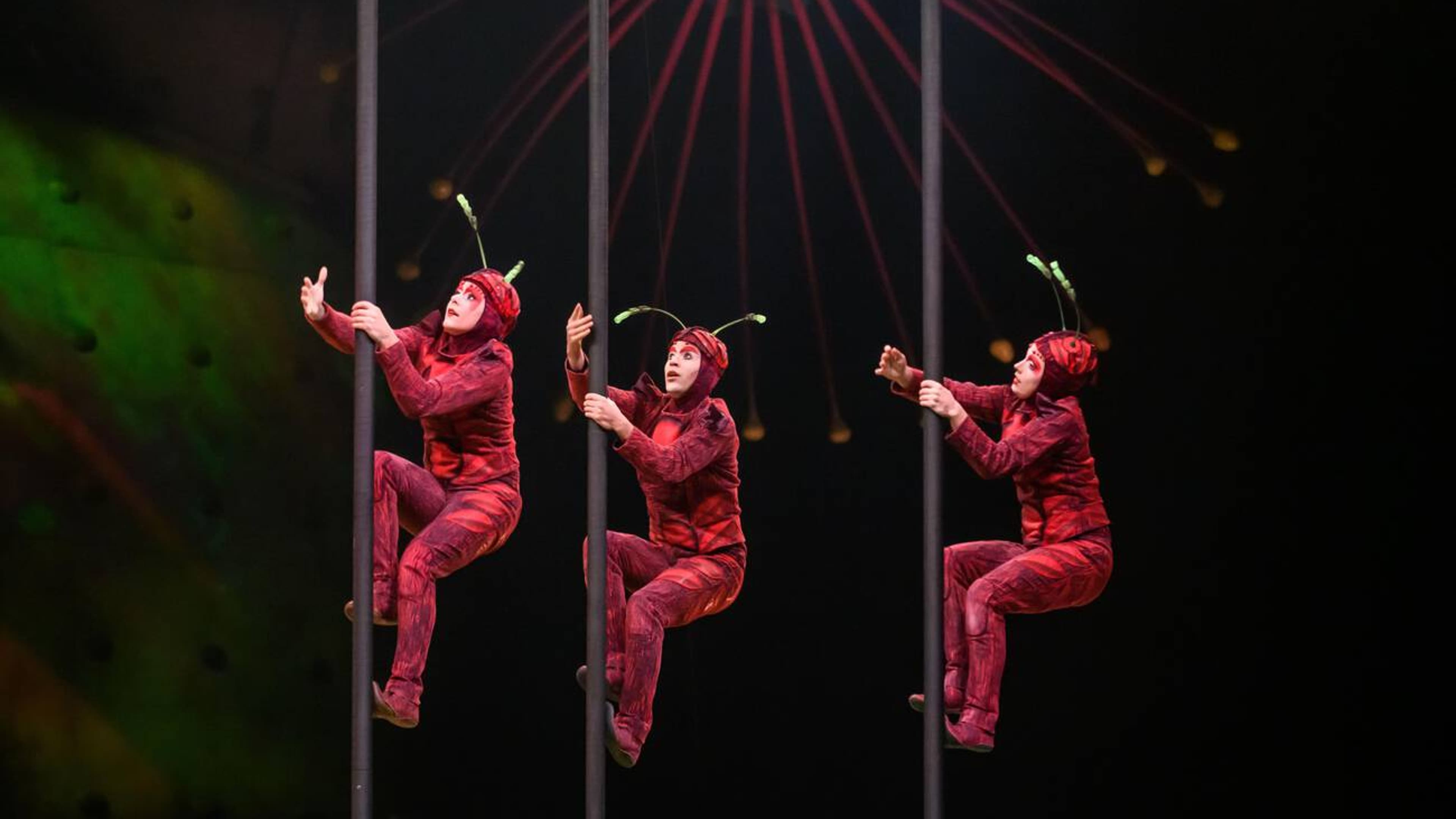 Cirque du Soleil Ovo