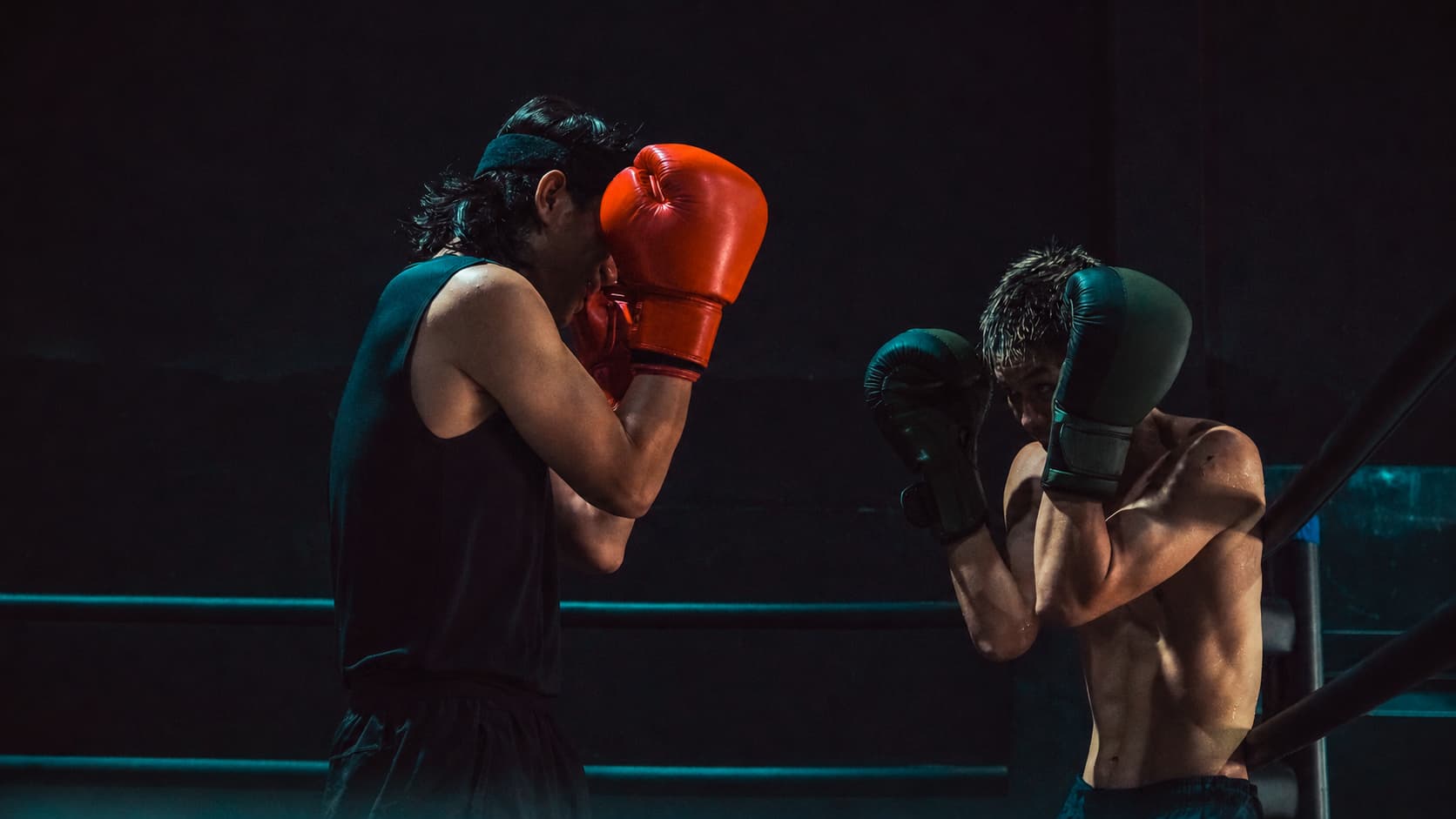 Fists of Fury Series