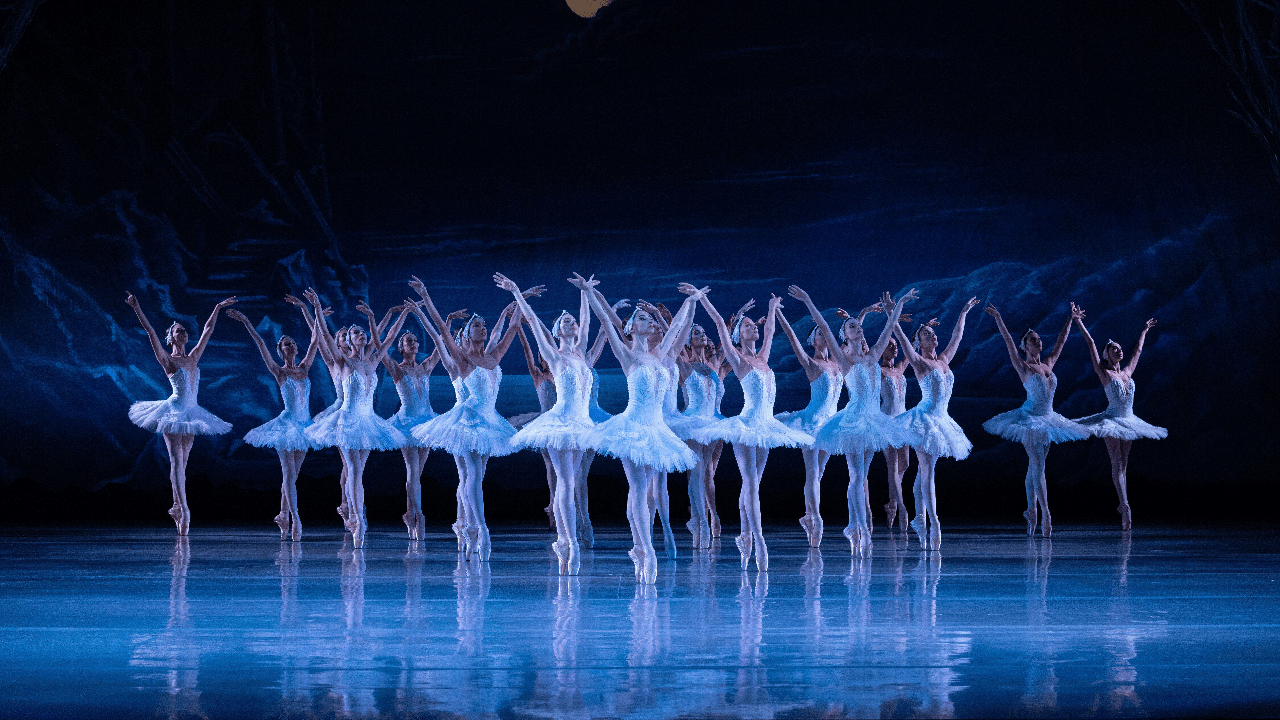 World Ballet Company - Swan Lake