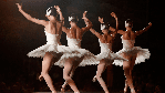 Boston Ballet