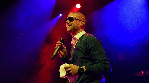 Collie Buddz