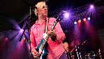 Robyn Hitchcock