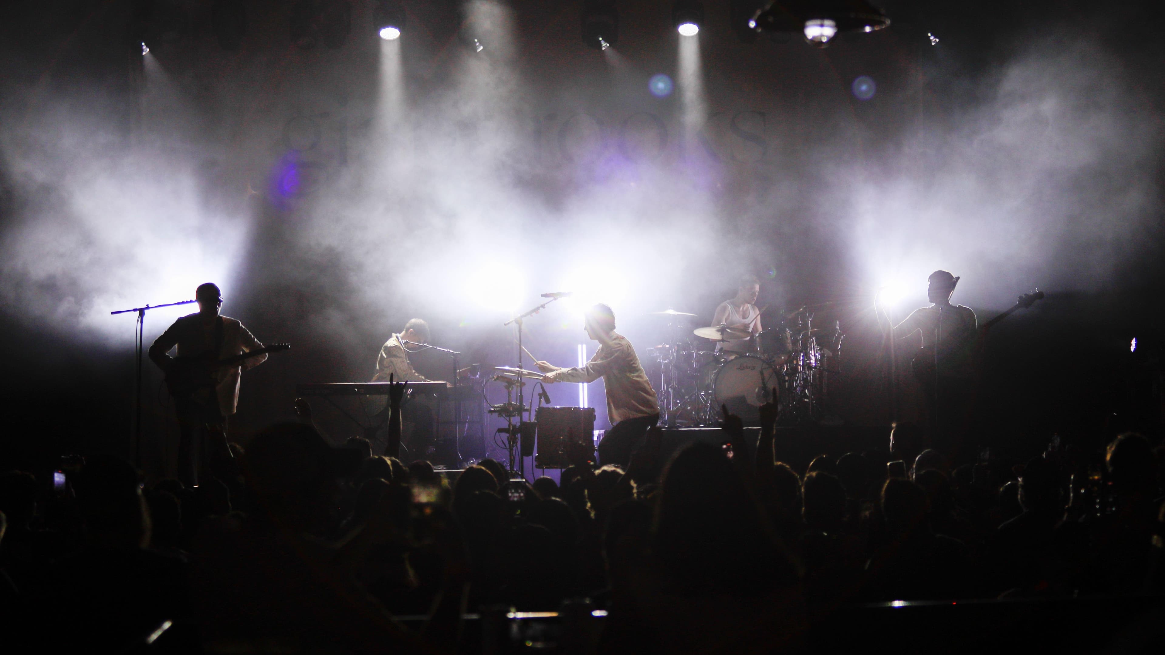 Bronze Peacock At The House Of Blues - Houston 