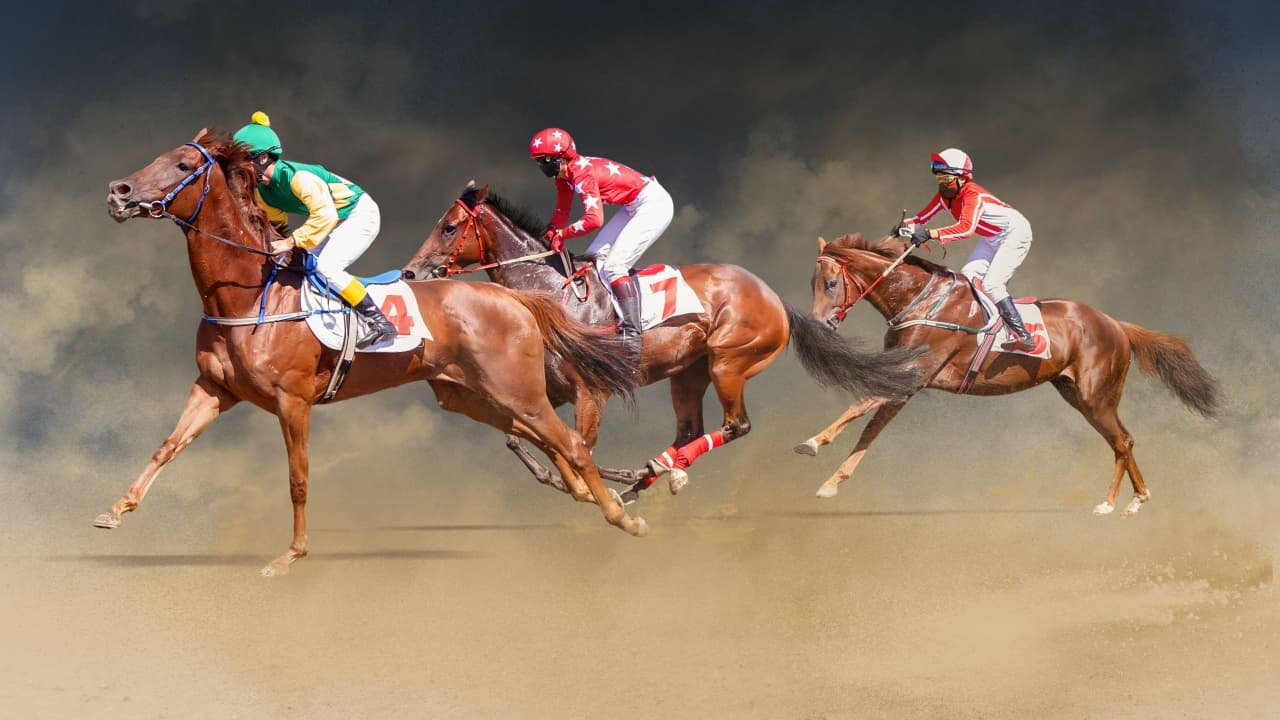 Derby Festival 2026 - Ladies Day