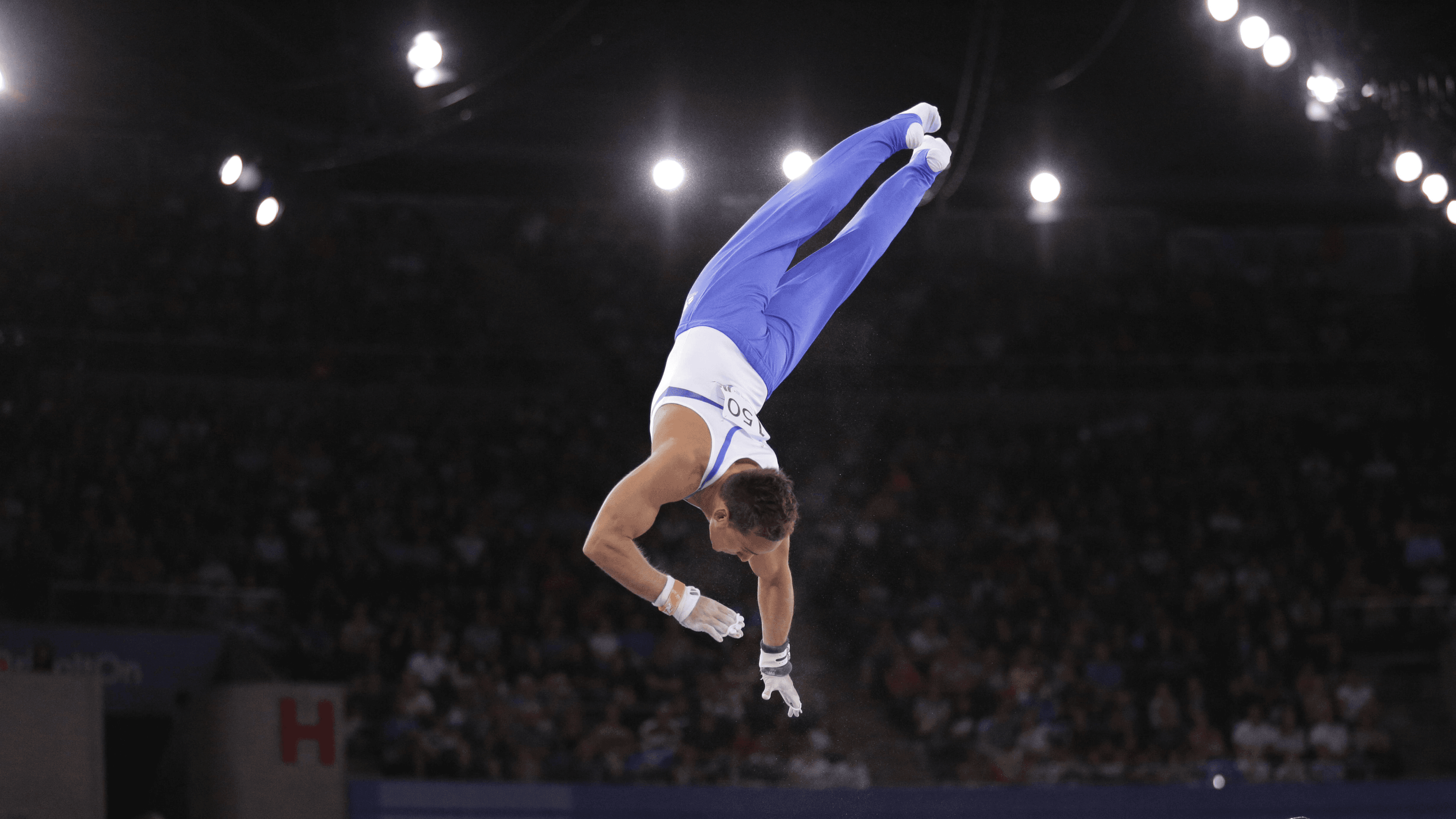 ACC Gymnastics Championship