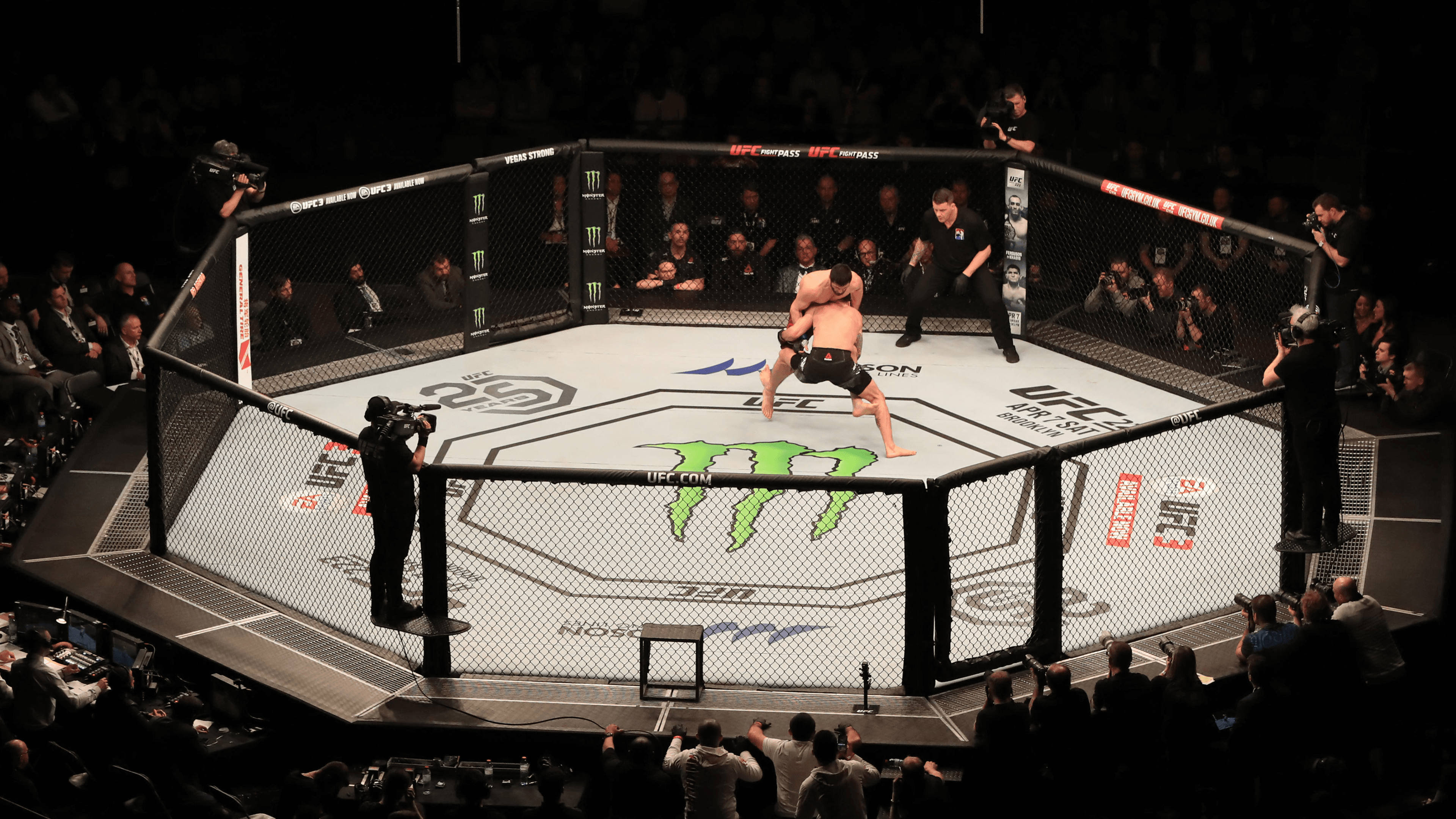 UFC Fight Night (Evloev vs Murphy)