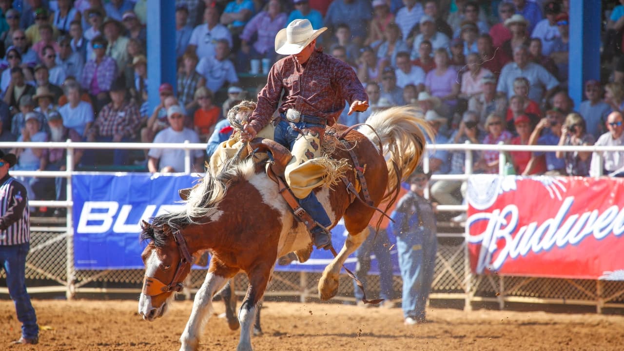 Laramie Jubilee Days: Jr. Bull Riding