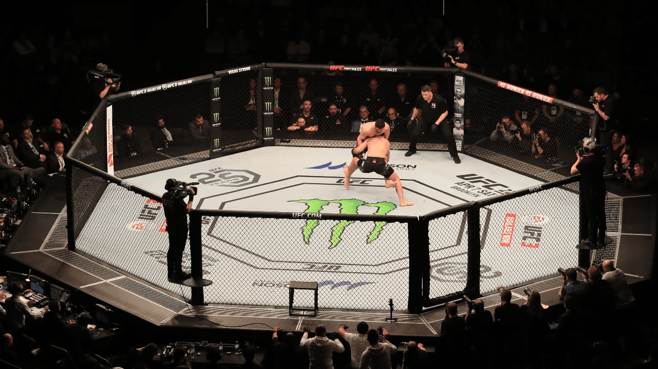 UFC Fight Night (Evloev vs Murphy)