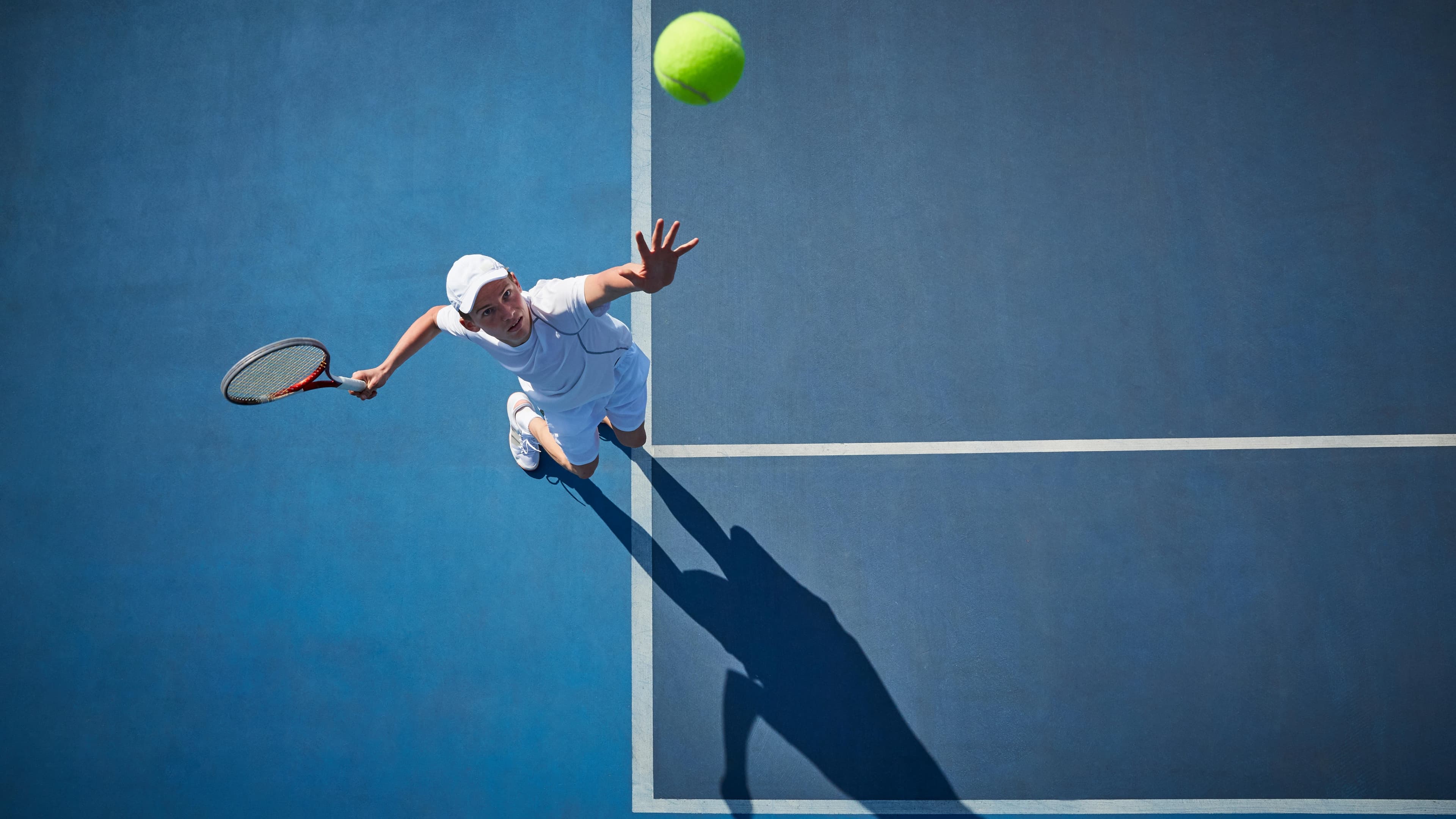 Missouri State Bears