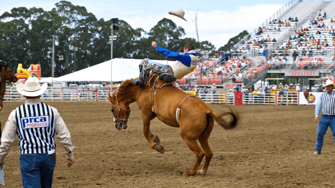 PRCA Rodeo: Xtreme Bulls